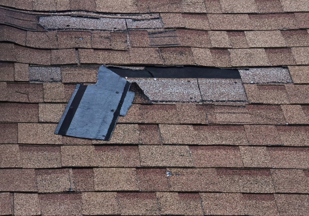 Wind Damage 101: How to Spot Missing Shingles from the Ground