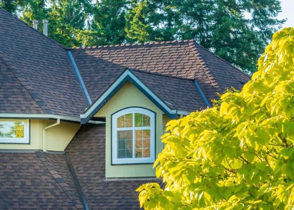 Asphalt Roof Home